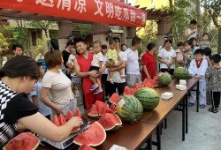 社区吃瓜大赛,一场全民参与的吃瓜盛宴