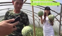 去台湾吃瓜群众,去台湾吃瓜群众的味蕾盛宴