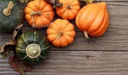 咋整 吃瓜,揭秘“咋整”背后的吃瓜风云