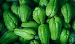 捧瓜吃,品味生活，共享快乐时光