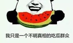 热门 吃瓜 事件,真相与舆论的碰撞