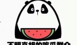 吃瓜的反义,揭秘那些被误解的幕后故事