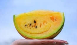 面瓜是什么瓜可以吃吗,这种瓜真的可以食用吗？