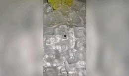 声控助眠解压吃瓜,吃瓜时光的完美伴侣