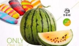 带你吃瓜说雪糕,夏日清凉美食之旅