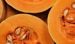 南瓜和瓜蛋都吃行吗,健康美味两不误