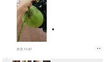 大学网课吃瓜,揭秘大学网课中的那些“吃瓜”瞬间